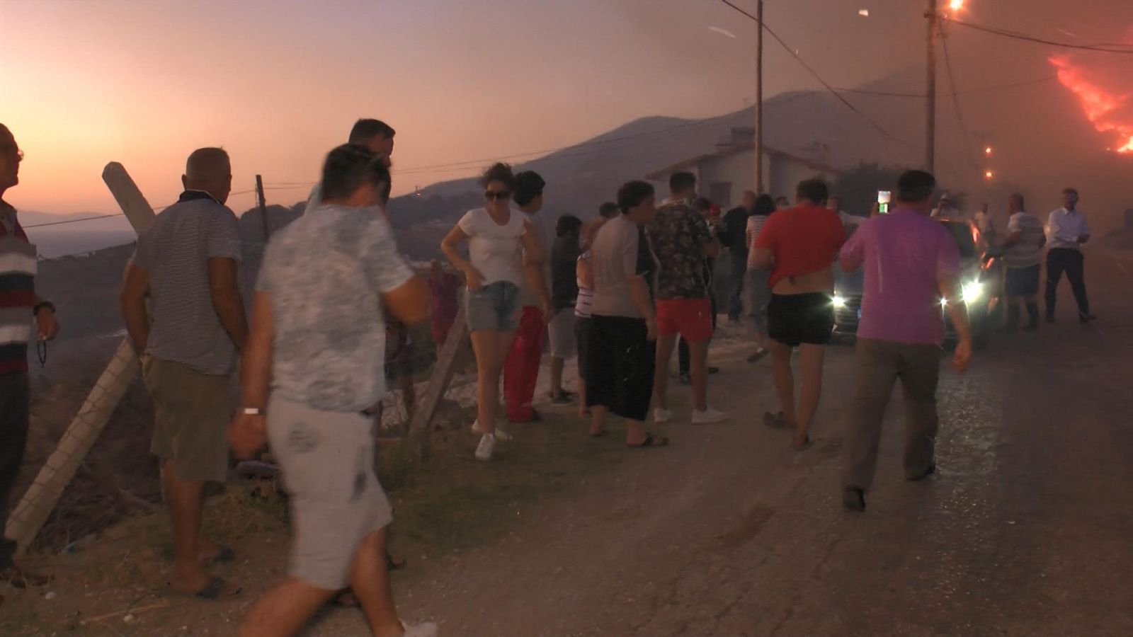 Marmara Adası'nda orman yangını