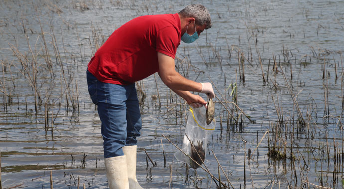 Alibeyköy Barajı'ndan numune alındı: Balık ölümleri inceleniyor