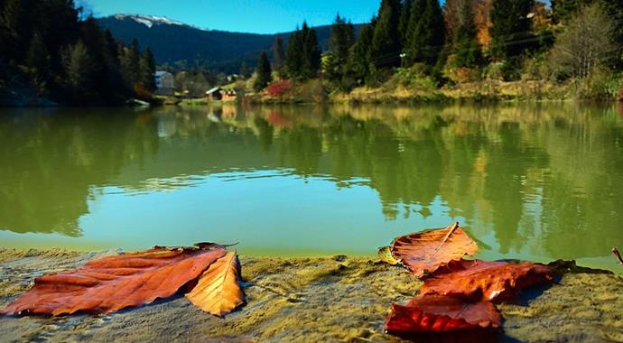 Balıklıgöl'de sonbahar