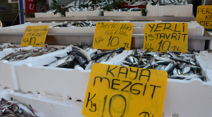 Balık fiyatları 10 TL’ye sabitlendi vatandaş sevindi