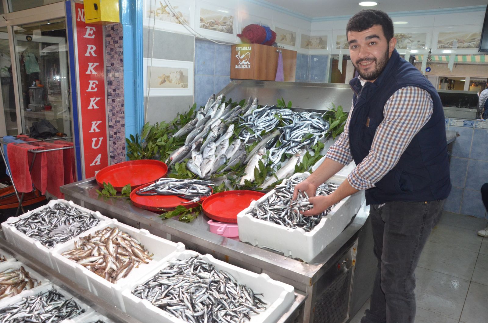 Balıkçılar, sezondan beklediklerini bulamadı