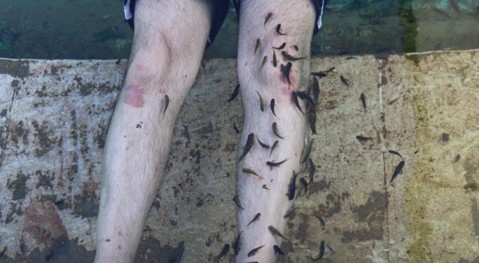 Dünyada benzerleri yok, doktor balıklar şifa saçıyor: 'Covid buraya uğramadı'