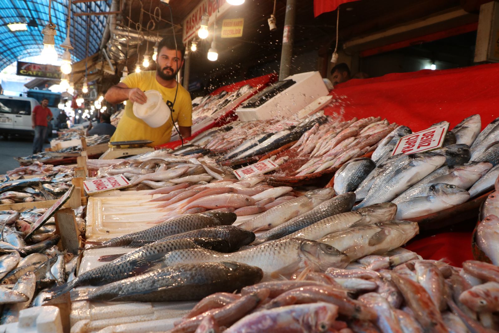 Tezgahlar balıkla doldu taştı, fiyatlar yarı yarıya düştü