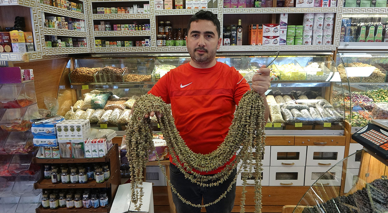 Kilosu gram altınla yarışıyor! Tazesi 40, kurusu 1000 lira... Kilosu gram altınla yarışıyor! Tazesi 40, kurusu 1000 lira...