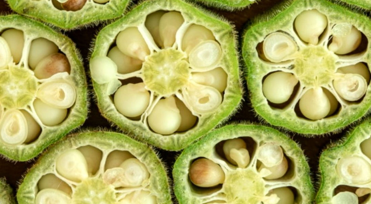 Bamya tohumu bağırsakları motor gibi çalıştırıyor, faydaları saymakla bitmiyor l Diz ve eklem ağrıları için de doğal çözüm! (Bamya tohumu kürü tarifi ve yararları) Bamya tohumu bağırsakları motor gibi çalıştırıyor, faydaları saymakla bitmiyor l Diz ve eklem ağrıları için de doğal çözüm! (Bamya tohumu kürü tarifi ve yararları)