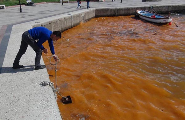 Denizi böyle görenler telefona sarıldı