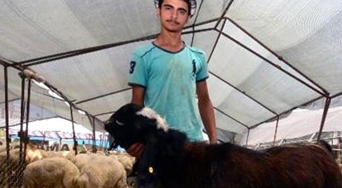 146 kiloluk teke, 3 bin 500 liradan alıcı buldu