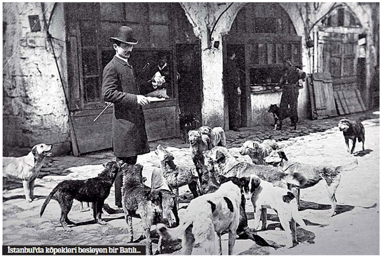 Eski edebiyatçıların köpeklerle imtihanı