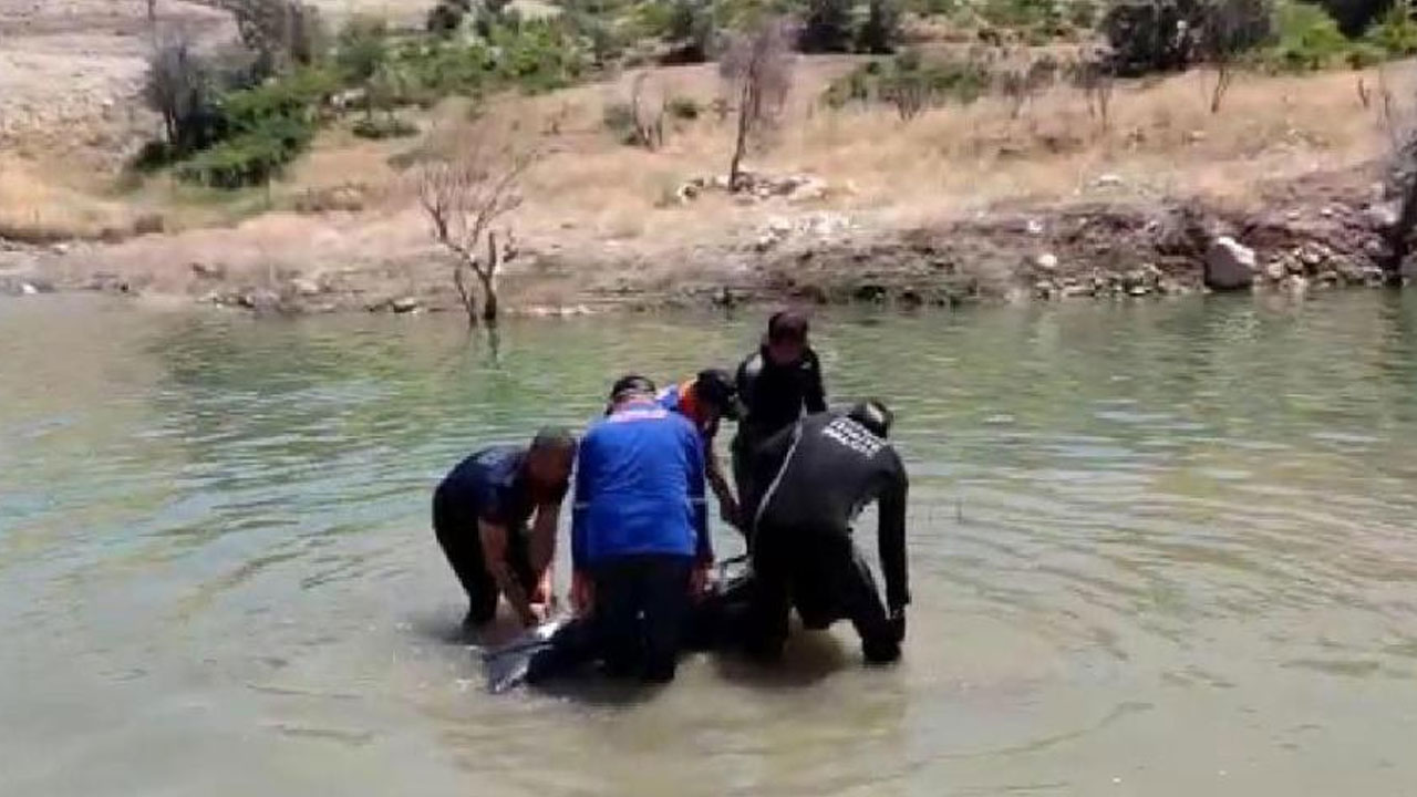İki kardeşin kahreden sonu: Piknik için gittiler, bir daha dönemediler