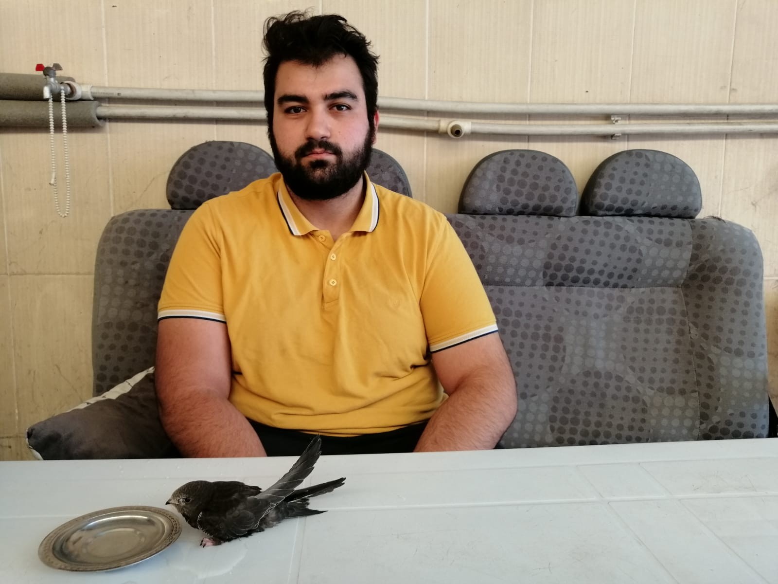 Dışarıda yattığı sırada başına ebabil kuşu düştü! Ne olduğunu öğrenince çok şaşırdı...