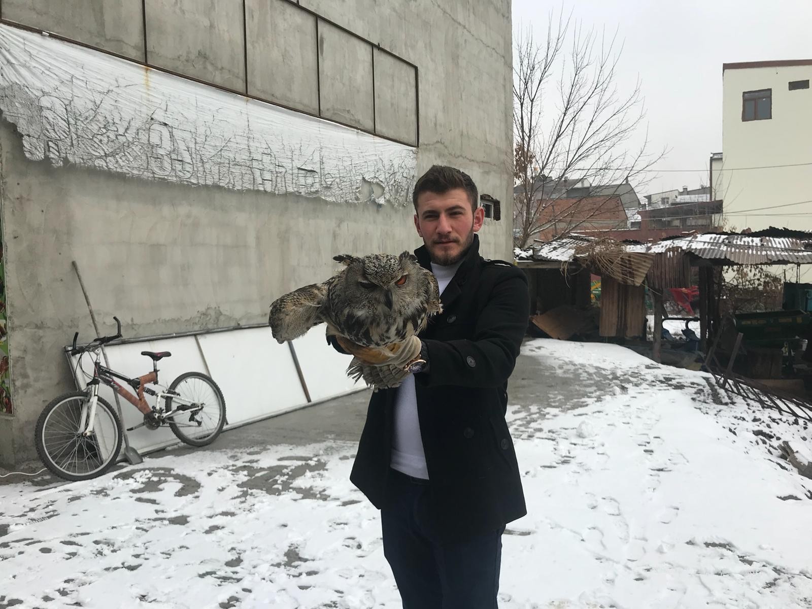 Erzurum’da yaralı baykuş için vatandaş seferber oldu