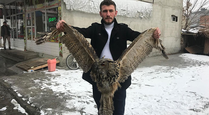 Erzurum’da yaralı baykuş için vatandaş seferber oldu