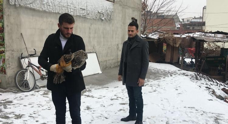 Erzurum’da yaralı baykuş için vatandaş seferber oldu