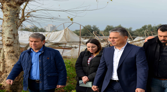 Başkan Uysal, kent merkezinde hortumun yıktığı seralarda incelemelerde bulundu