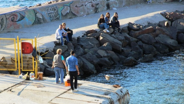 Balıkçının oltasına martı takıldı
