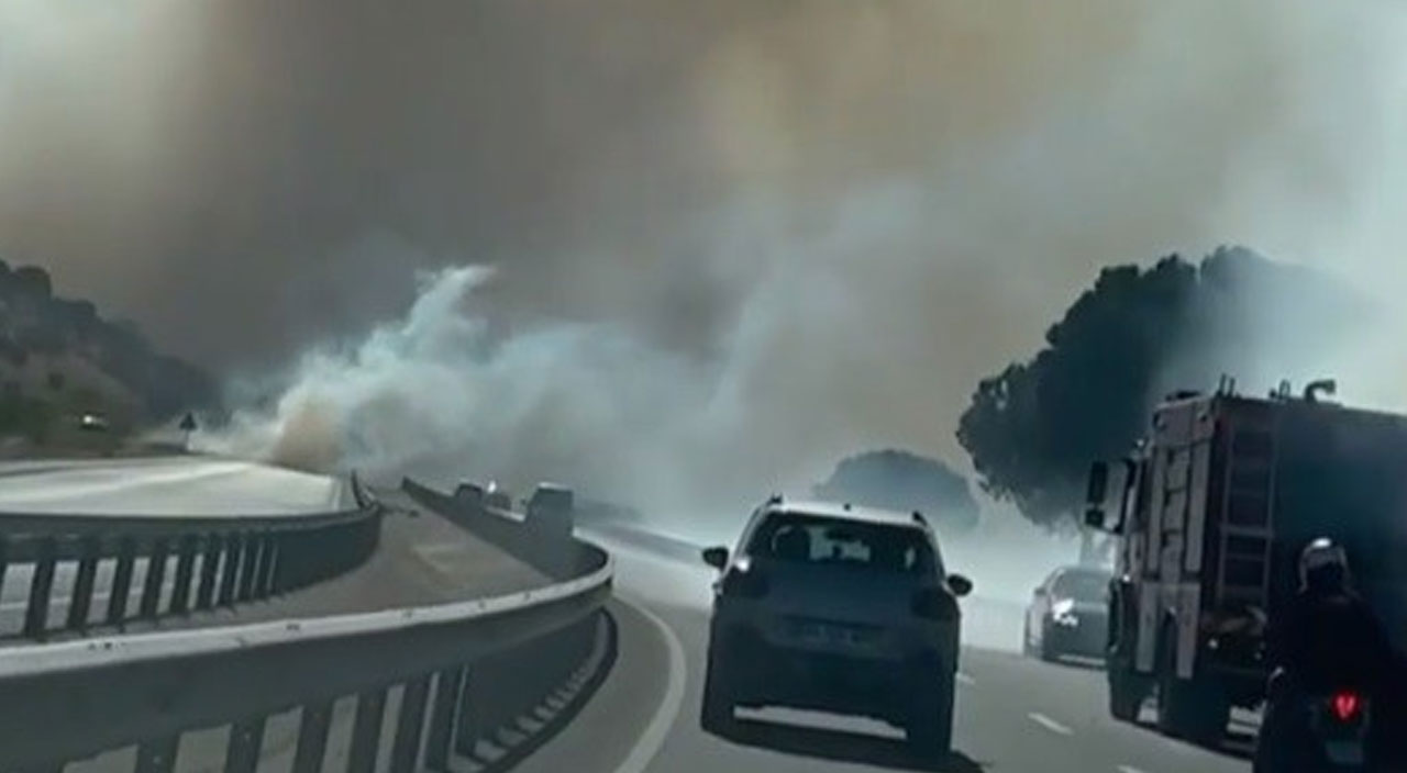 Son dakika: Bergama'da otluk alanda yangın!