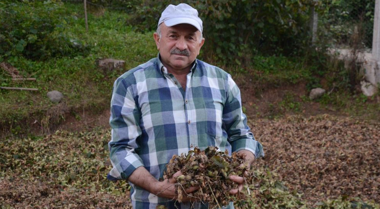 Vefat ettiği gece ağzından çaldılar, oğlu her yerde arıyor… Getirene 2 ton fındık verecek!