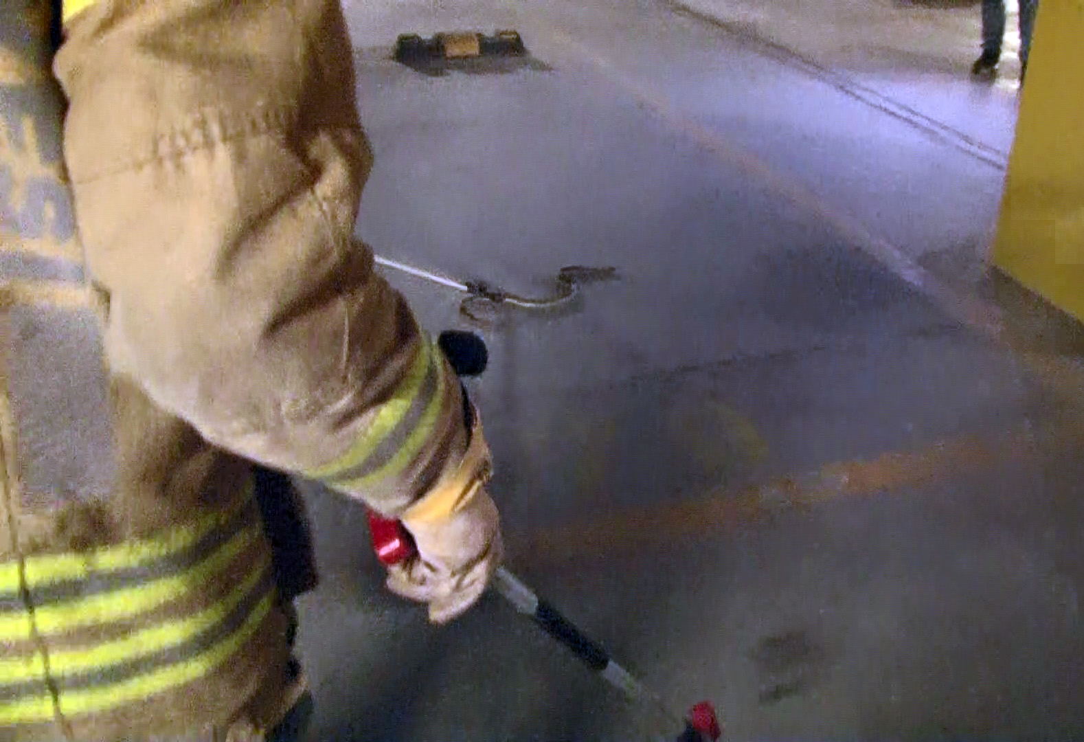 1 buçuk metrelik yılan Beylikdüzü'nde paniğe sebep oldu