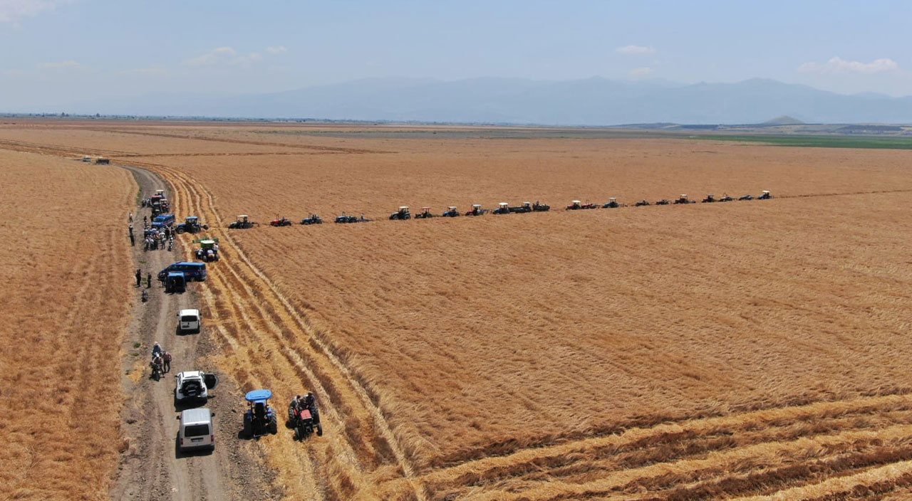 Göl kurudu, işgal başladı! Fırsatçılar devlete ait arazide sahiplik kavgasına tutuştu