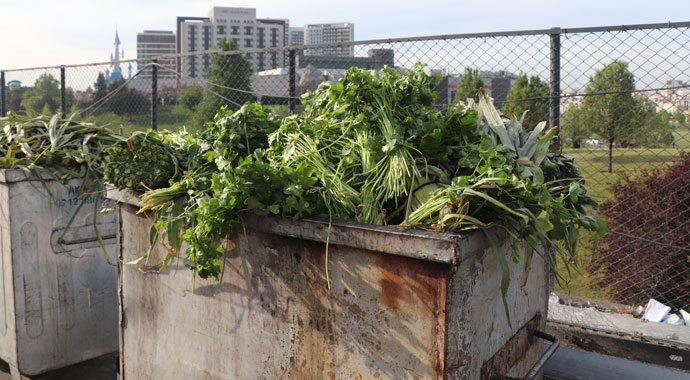 Sebzeler halde kaldı: Bu emeği çürütmeyin