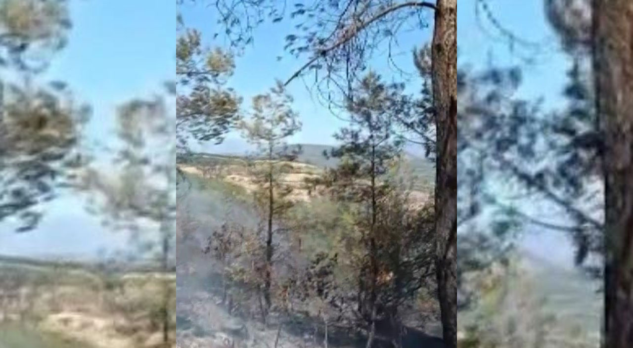 Balıkesir'de korkutan orman yangını