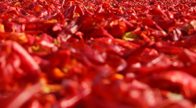 eldeki biber acısını nasıl çıkar