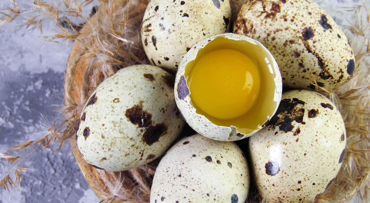Bıldırcın yumurtası faydaları – Bıldırcın yumurtası neye iyi geliyor, kaç kalori? Bıldırcın yumurtası faydaları – Bıldırcın yumurtası neye iyi geliyor, kaç kalori?