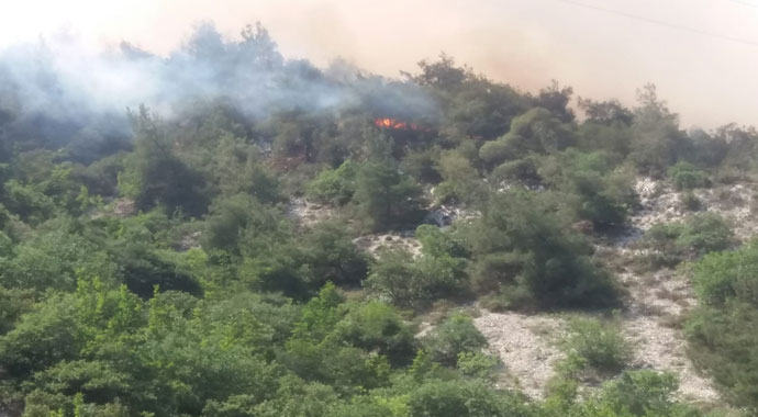 Bilecik'te orman yangını