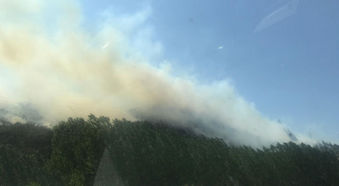 Bilecik'te orman yangını