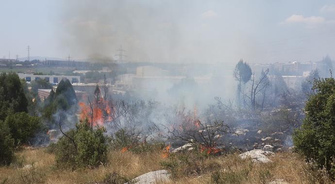 Bilecik'te yangın her yeri kül etti