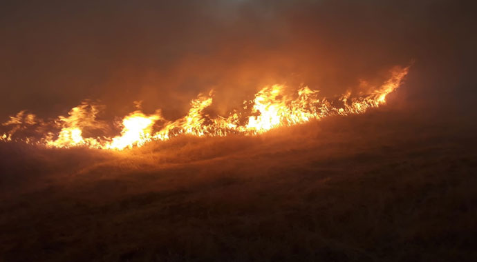 Bingöl’de yangın, 300 dönüm kül oldu