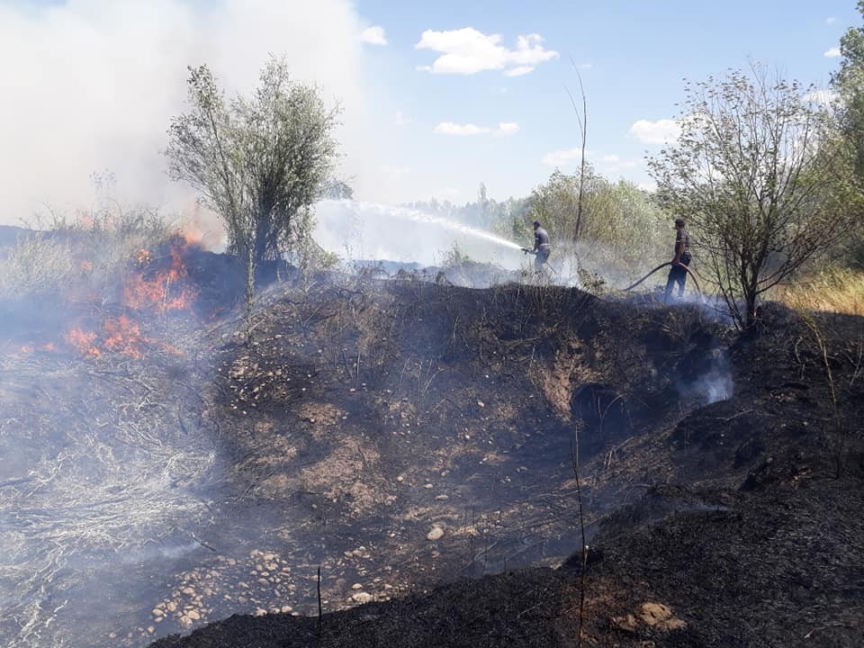 Bingöl’de 200 dönüm arazi küle döndü