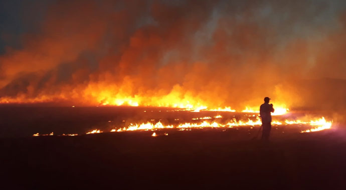 Bingöl’de yangın, 300 dönüm kül oldu