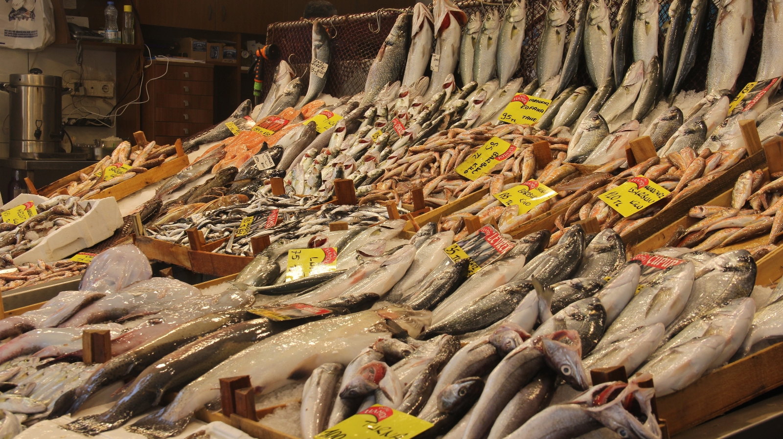 KDV indirimi balık fiyatlarını da düşürdü