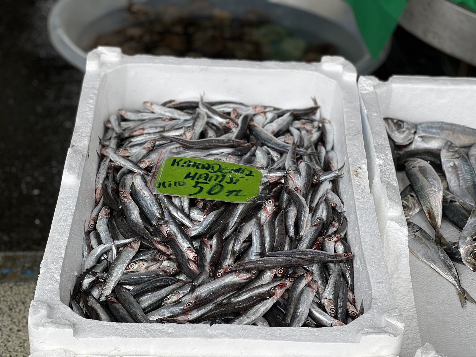 Soğuk hava balık tezgahlarındaki fiyatı yükseltti