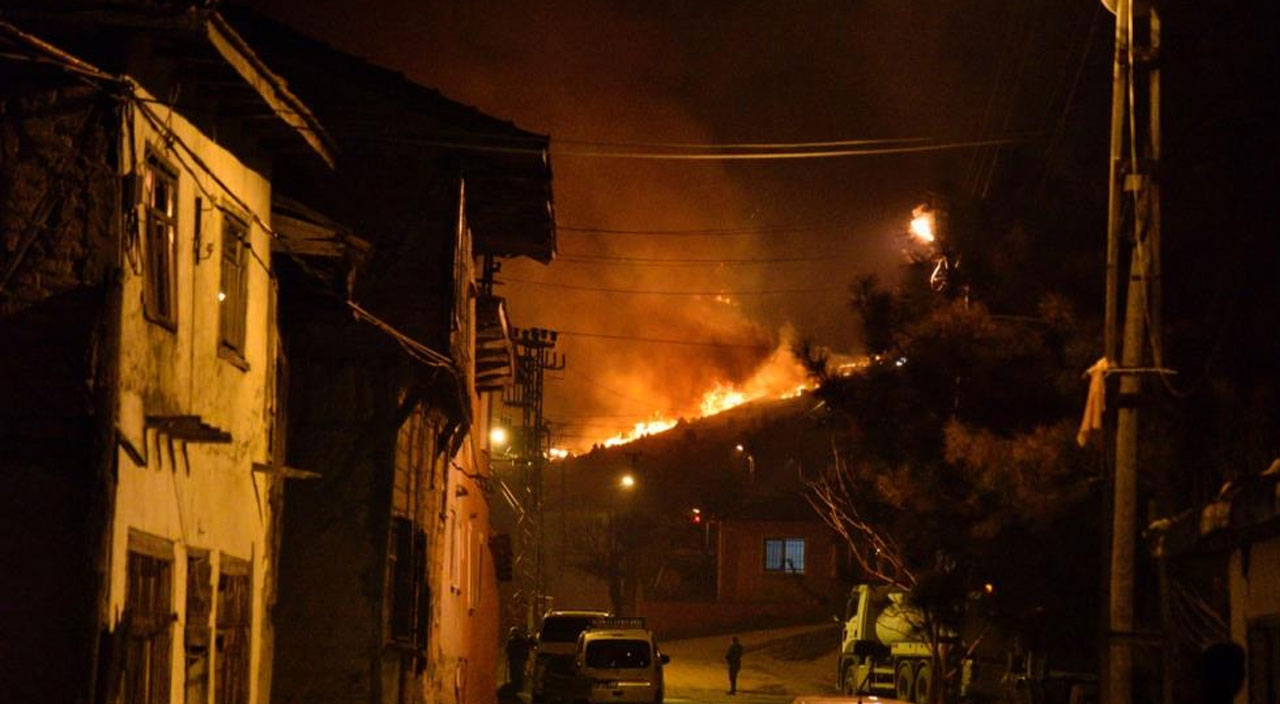 Bursa, Çanakkale ve Bilecik'te çıkan orman yangınları kontrol altına alındı