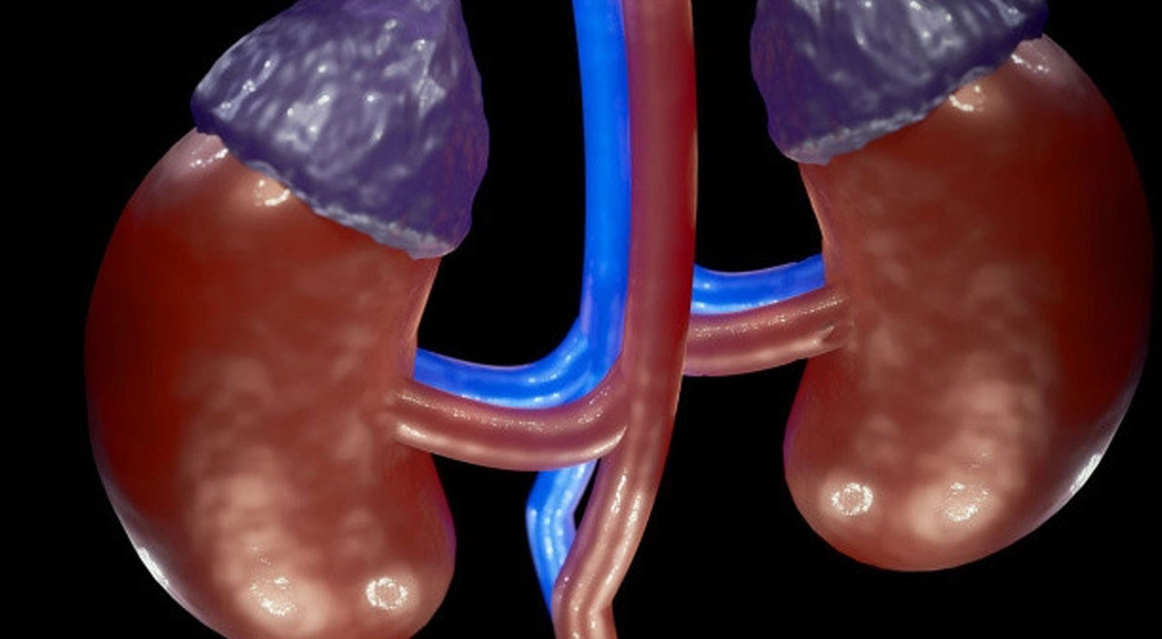 Koronavirüs geçirenler dikkat: Böbreklerde hasar bırakıyor