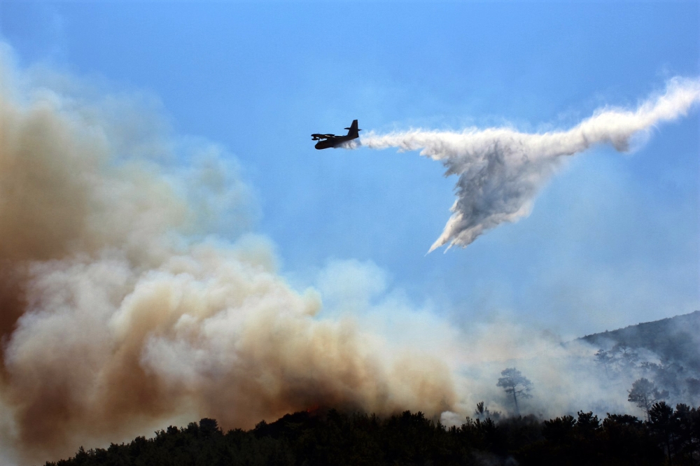 Bodrum’da yüzlerce çam ağacı kül oldu