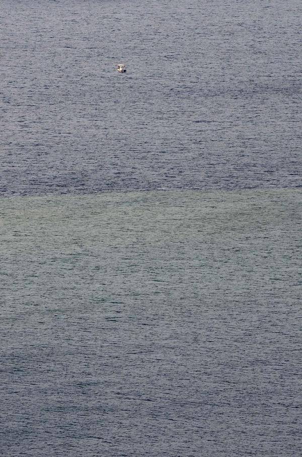 Bodrum'da denizin rengi kahverengi oldu