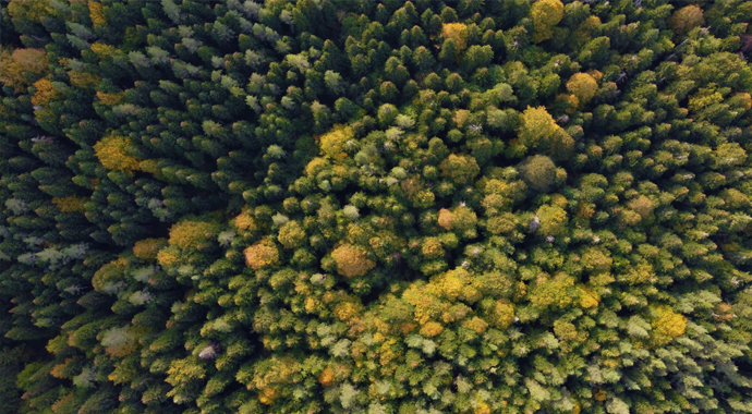 300 yıllık Sülüklü Göl görenleri kendine hayran bırakıyor
