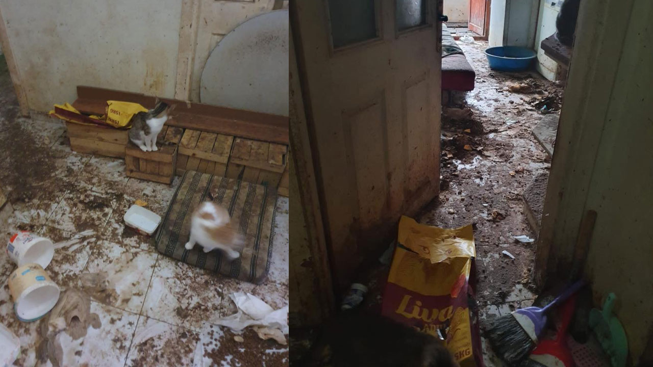 Kötü kokunun ardındaki gerçek şoke etti