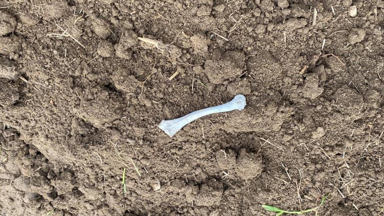 Mezarlıktan yol geçmesin diye iş makinesinin altına yattı!