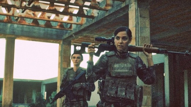 Börü ne demek, Nedir, Ne Anlama Gelir | Börü'nün Kelime Kökü ve Türkçe'deki anlamı ne?