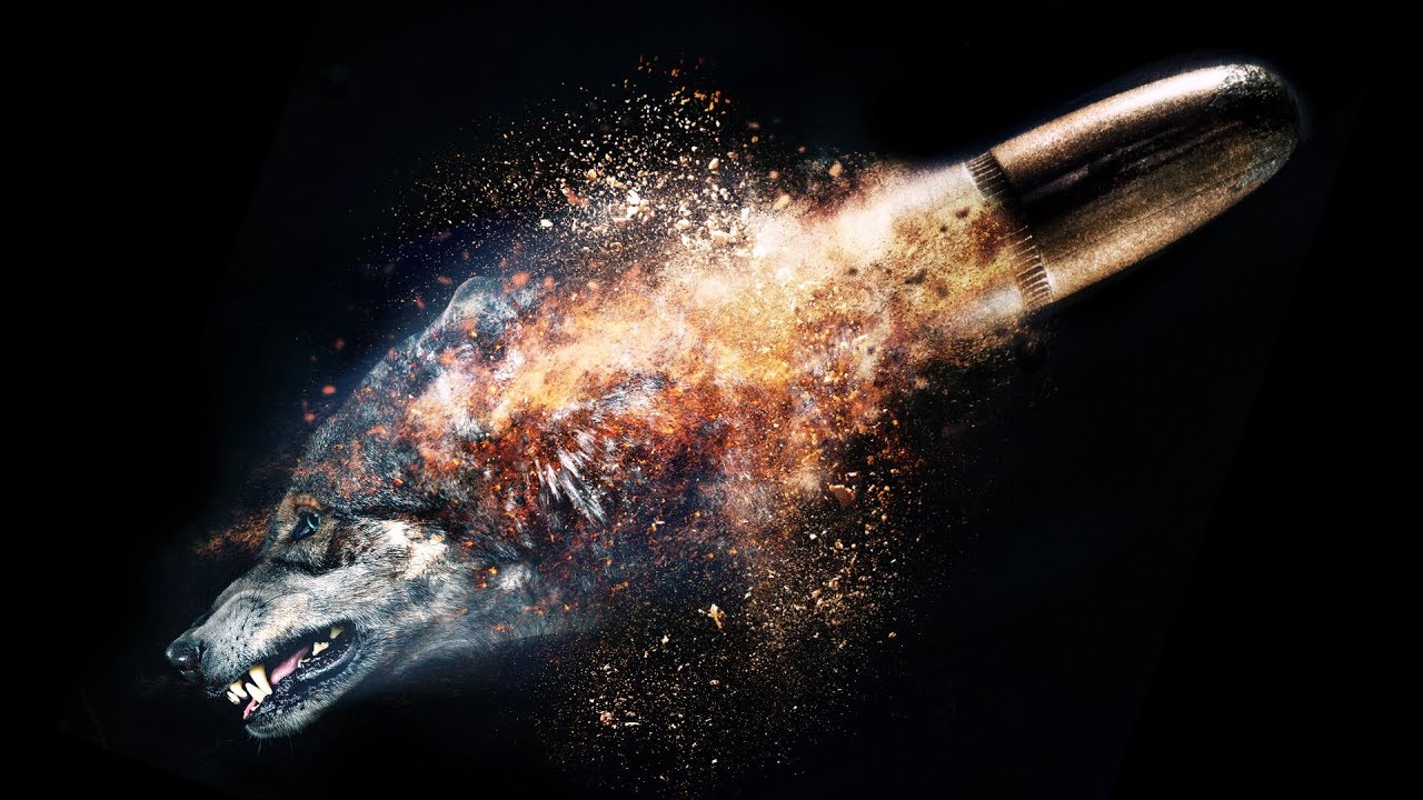 Börü ne demek, Nedir, Ne Anlama Gelir | Börü'nün Kelime Kökü ve Türkçe'deki anlamı ne?