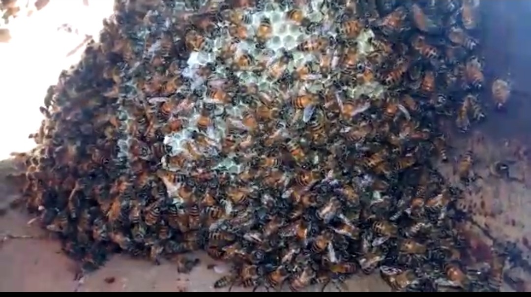 Kazayla kırdığı su borusunun içinden çıkanları görünce neye uğradığını şaşırdı Kazayla kırdığı su borusunun içinden çıkanları görünce neye uğradığını şaşırdı