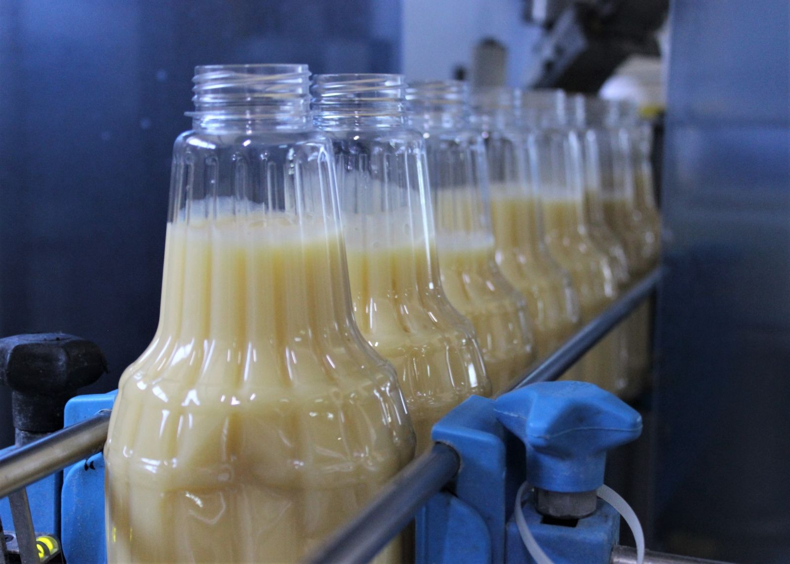 Meyveli boza üreten Bursalı firma, ABD'ye bile satış yapıyor