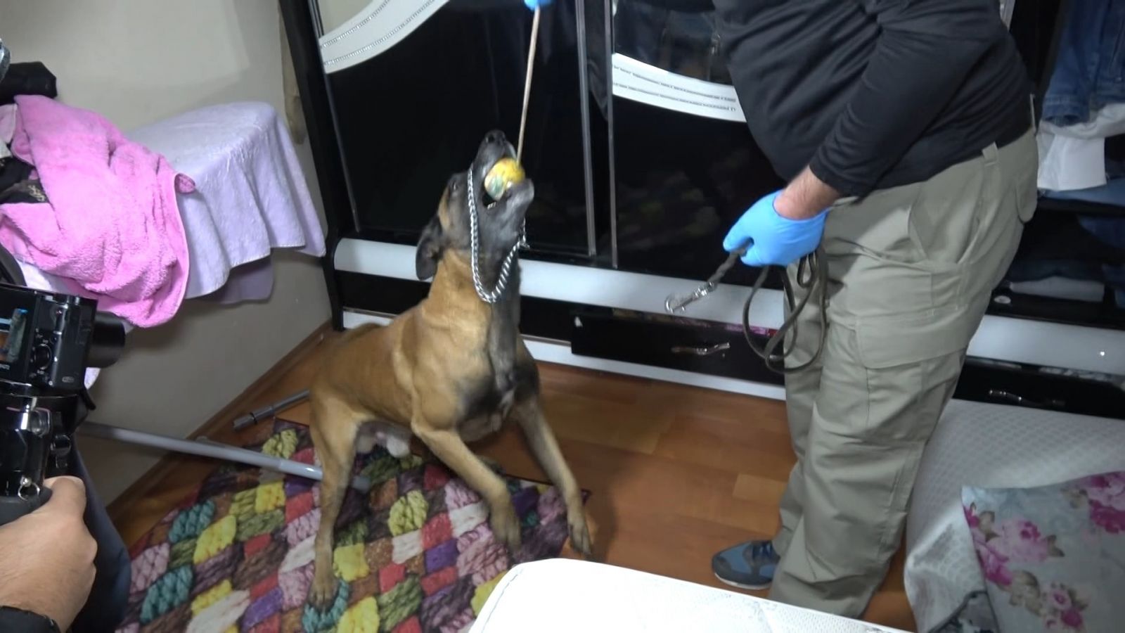 Polis uykuda yakaladı, onlarca suçlu gözaltına alındı