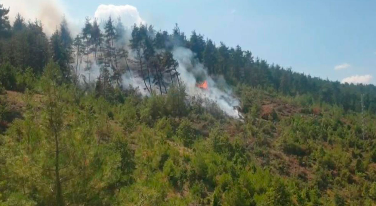 Bursa'da orman yangını: 2 saatte kontrol altına alındı