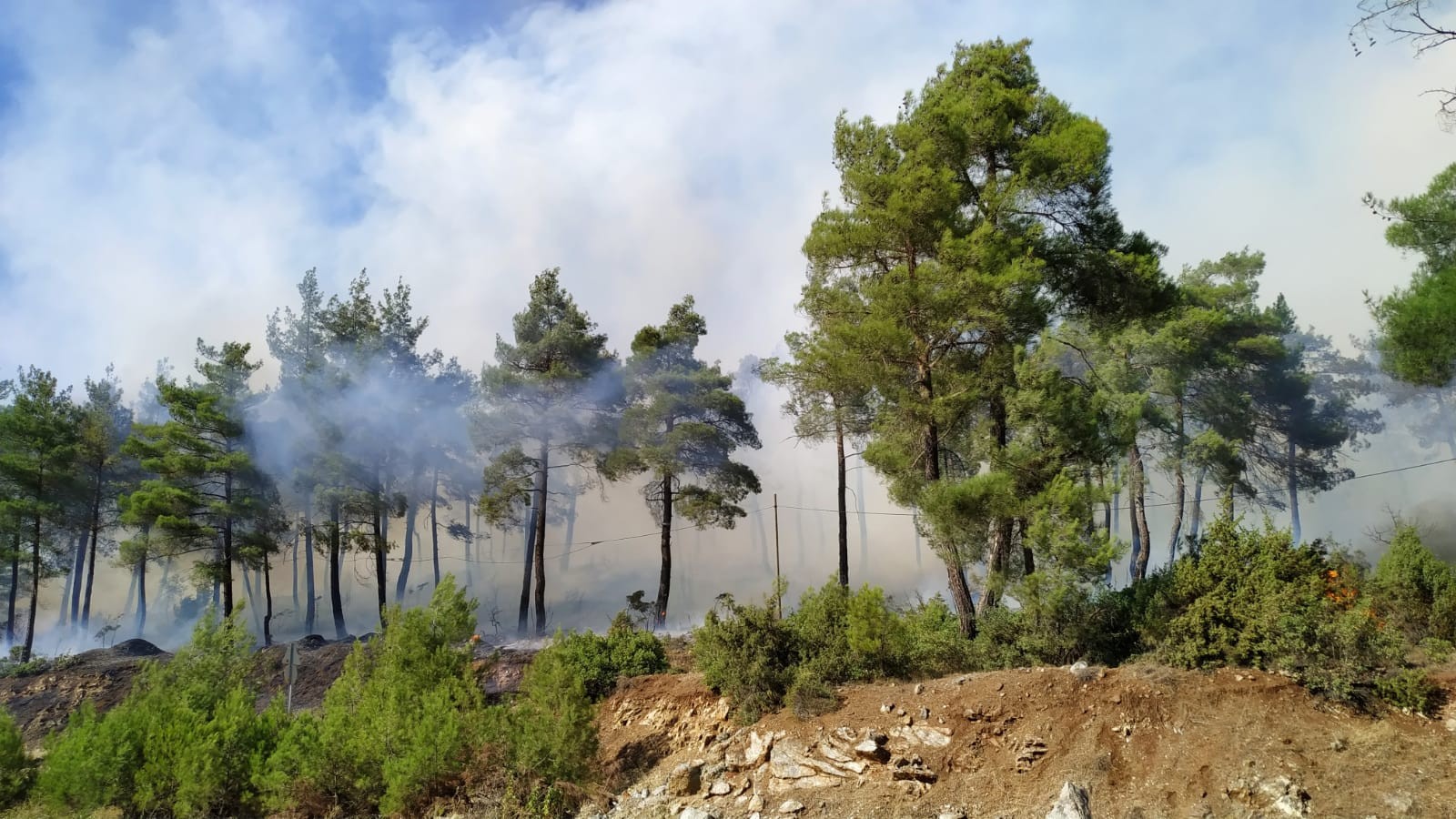 Ciğerlerimiz yanıyor! Bursa'da orman yangını