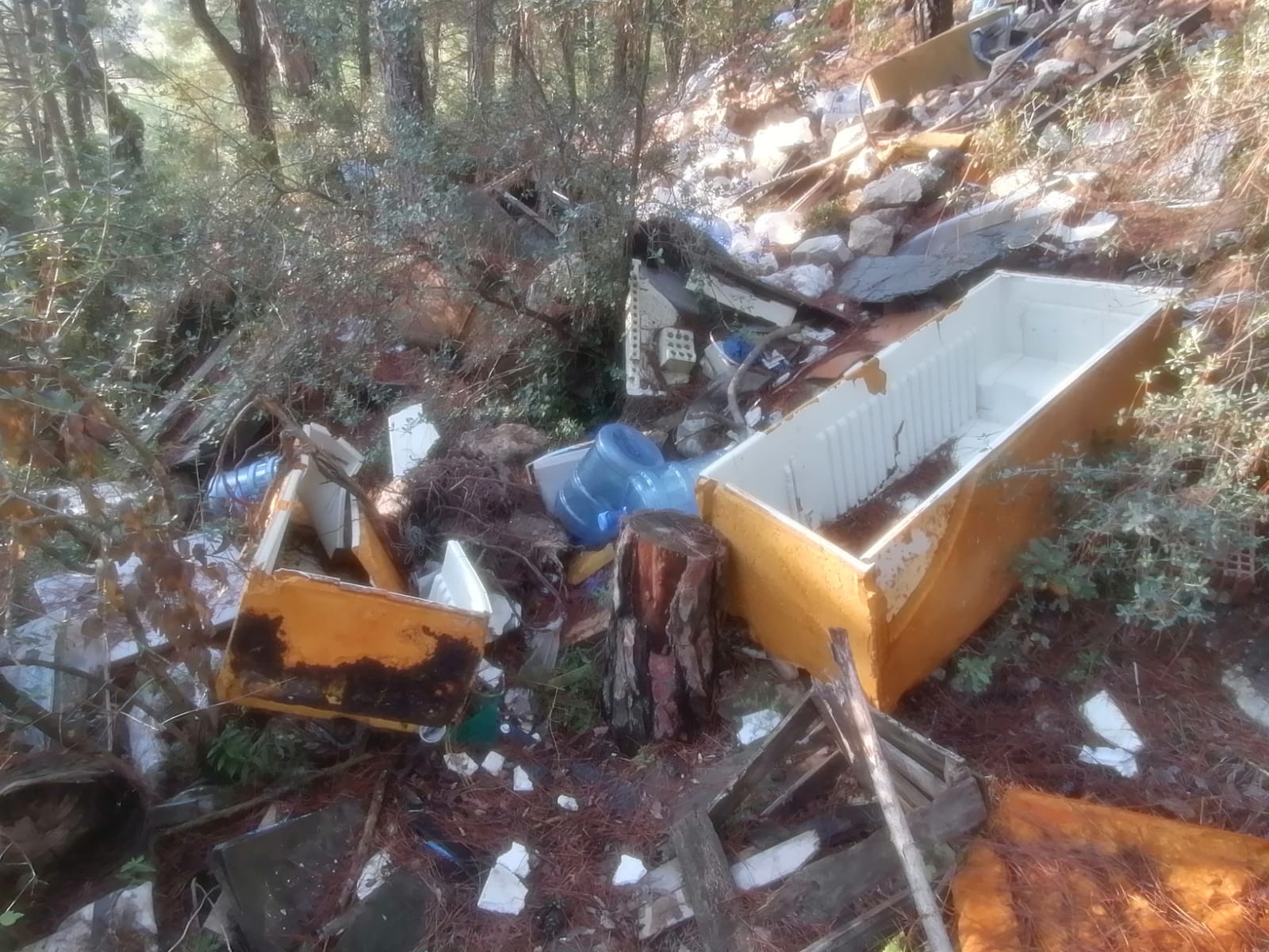 Bunun adı çevre katliamı! Ormandaki vahşiler